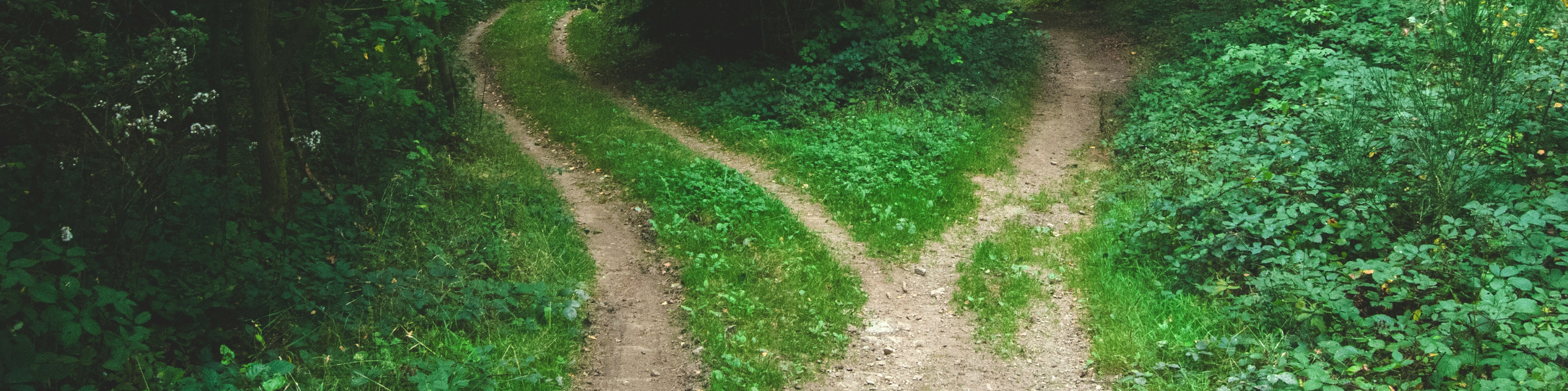 Keynote decision-making speakers banner - two roads diverge in leafy forest - pic cc Jens Lelie